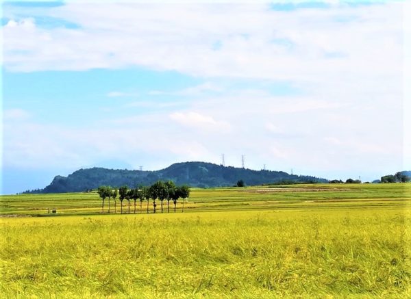 池ケ原の田園風景