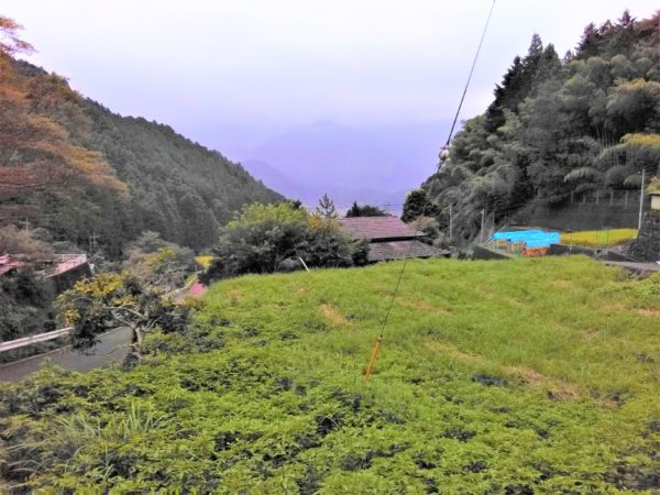 清水区【茂野島】の空き家が多い集落