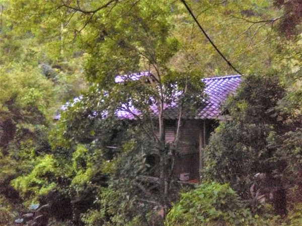 静岡市清水区で見つけた※空き家(その２)