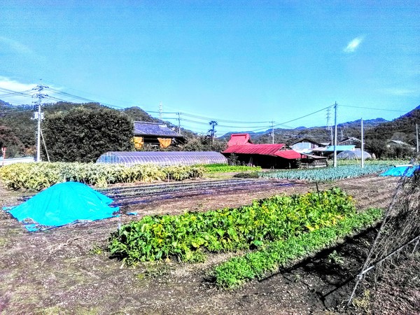 群馬県下仁田町
