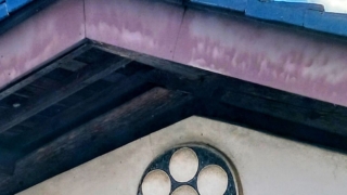 Thumbnail of post image 135