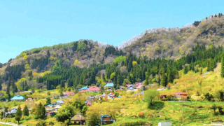 Thumbnail of post image 100