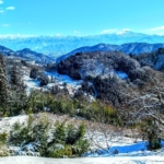 Thumbnail of related posts 178