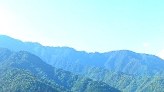 Thumbnail of post image 040