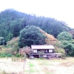 Thumbnail of new posts 041