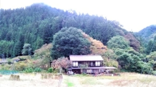 Thumbnail of post image 032