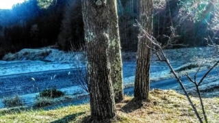 Thumbnail of post image 131