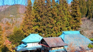 Thumbnail of post image 172