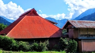 Thumbnail of post image 105