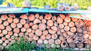 Thumbnail of post image 011