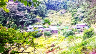 Thumbnail of post image 045