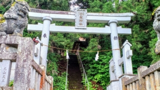 Thumbnail of post image 164