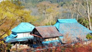 Thumbnail of post image 172