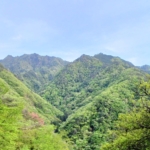Thumbnail of new posts 093