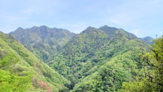 Thumbnail of post image 174