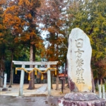 Thumbnail of related posts 110