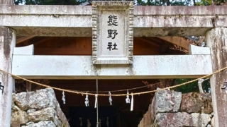 Thumbnail of post image 196