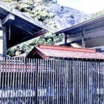 Thumbnail of new posts 014