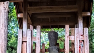 Thumbnail of post image 062