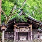 Thumbnail of new posts 052