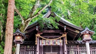 Thumbnail of post image 055