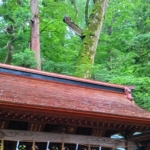 Thumbnail of new posts 031