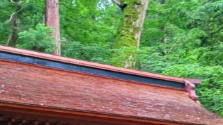 Thumbnail of post image 113