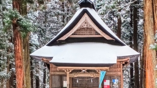Thumbnail of post image 128