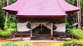Thumbnail of post image 071