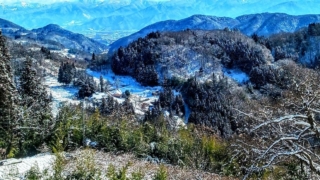 Thumbnail of post image 141