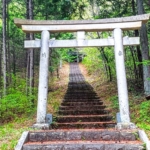 Thumbnail of new posts 033