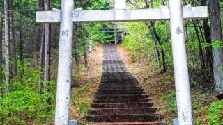 Thumbnail of post image 054