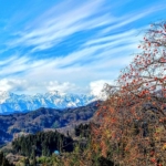 Thumbnail of new posts 063