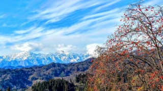 Thumbnail of post image 169
