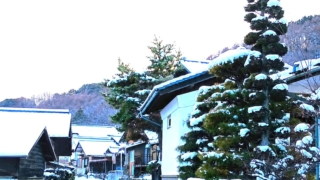 Thumbnail of post image 112