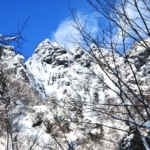 Thumbnail of new posts 125
