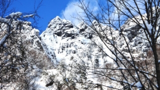 Thumbnail of post image 011