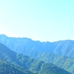 Thumbnail of new posts 187