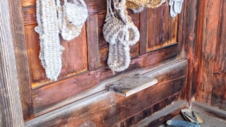 Thumbnail of post image 160