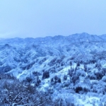 Thumbnail of new posts 073