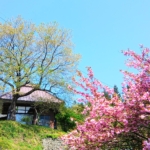 Thumbnail of new posts 075