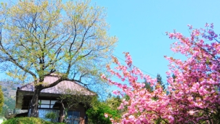 Thumbnail of post image 005