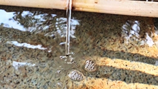 Thumbnail of post image 127
