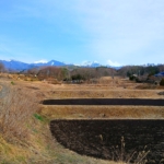 Thumbnail of new posts 131