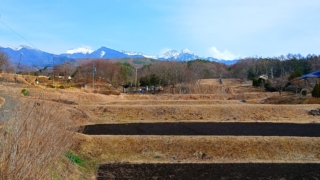 Thumbnail of post image 155