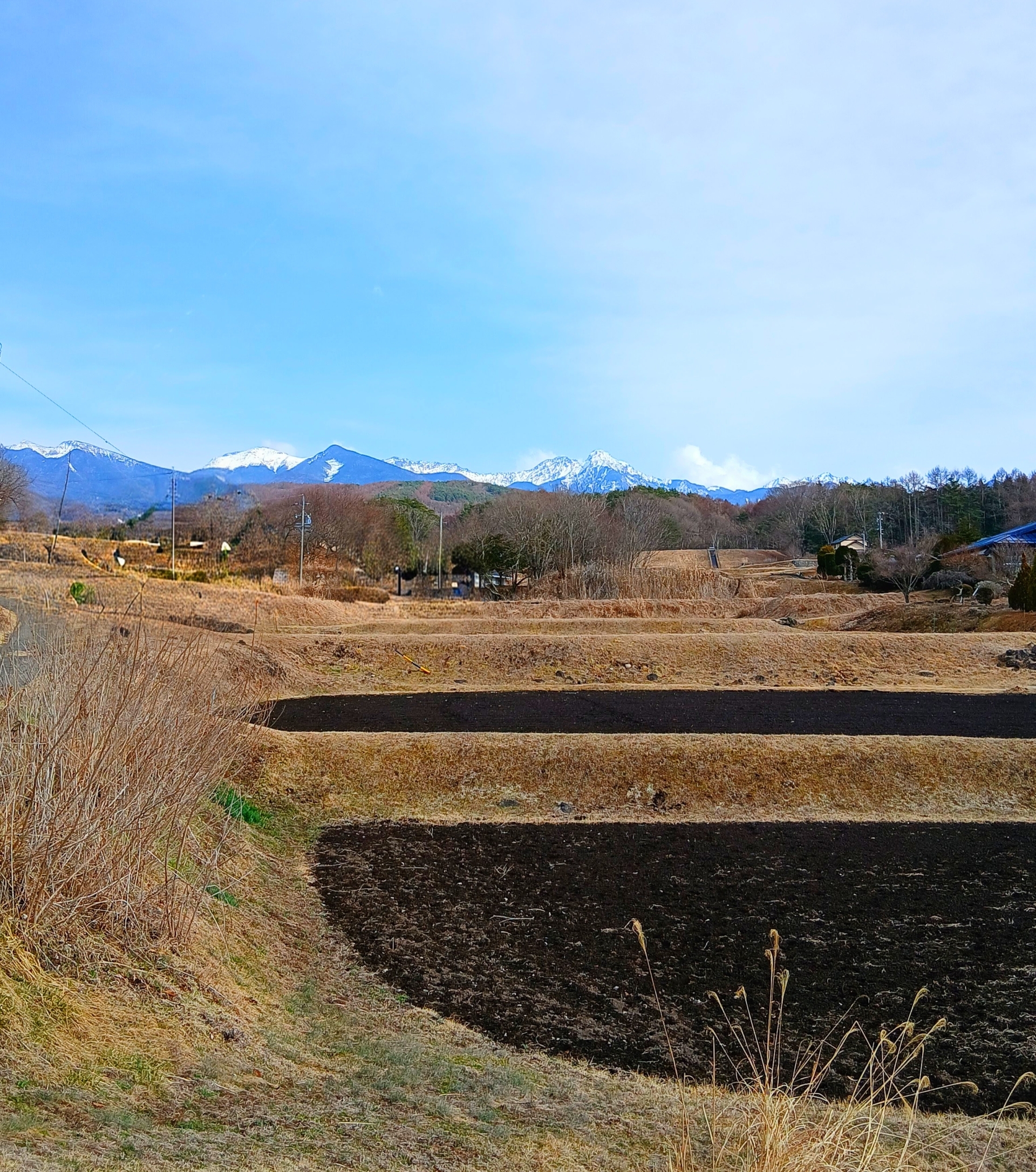 八ヶ岳山麓の風景