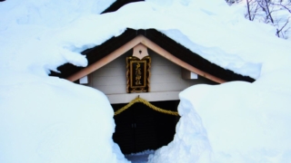Thumbnail of post image 094
