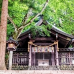 Thumbnail of new posts 023