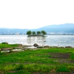 Thumbnail of new posts 177