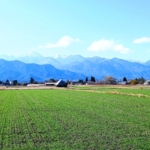 Thumbnail of new posts 135